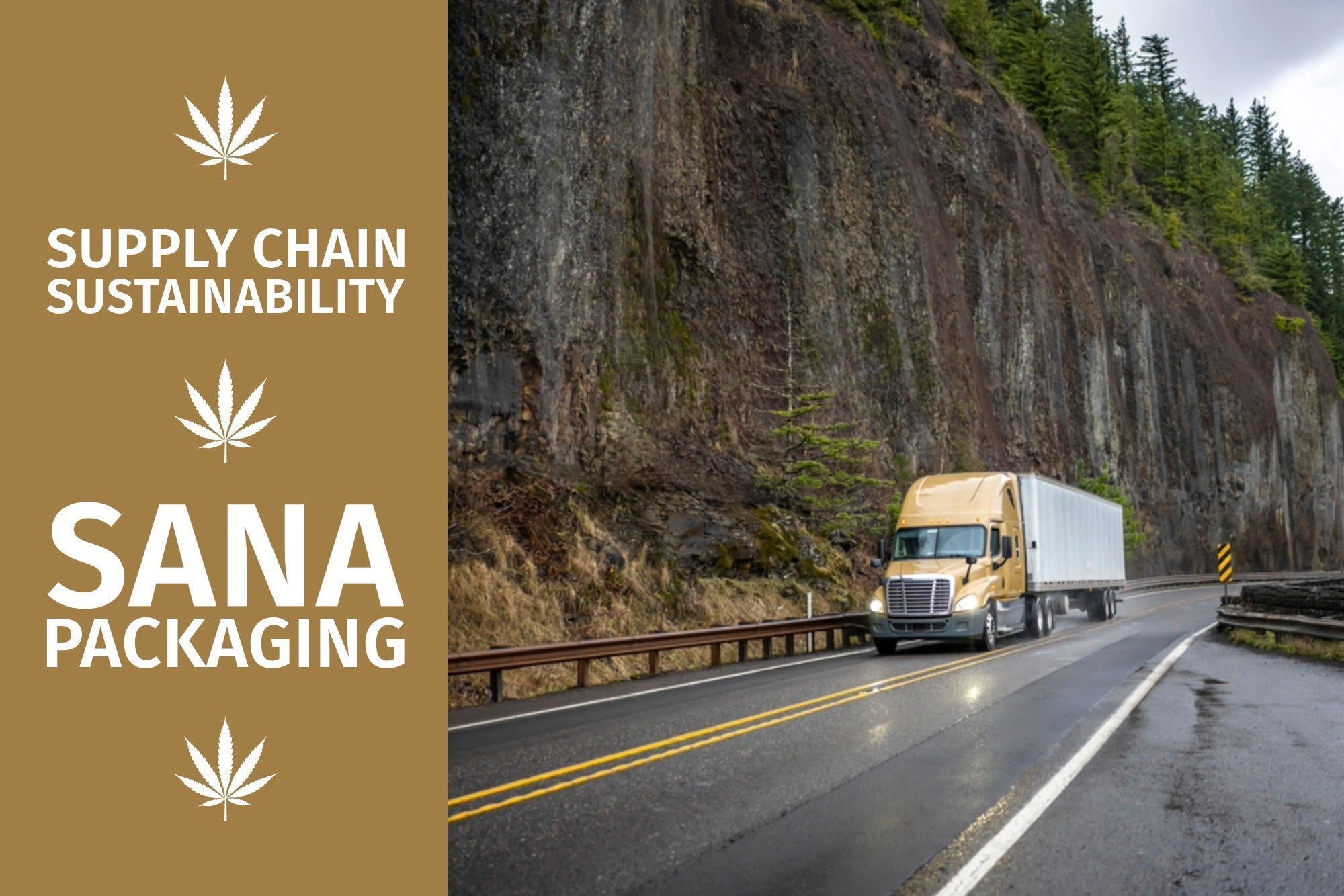 Cannabis Packaging Supply Chain Sustainability with Sana Packaging
