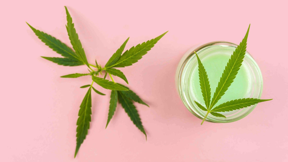 Cannabis leaves beside a glass bowl of green topical product on a pink background.