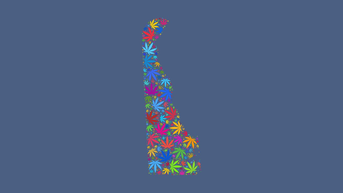 Delaware silhouette made from multicolored cannabis leaves on a muted blue background.