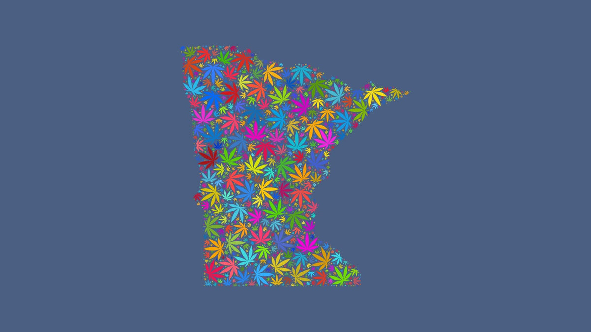 Minnesota silhouette made from multicolored cannabis leaves on a muted blue background.