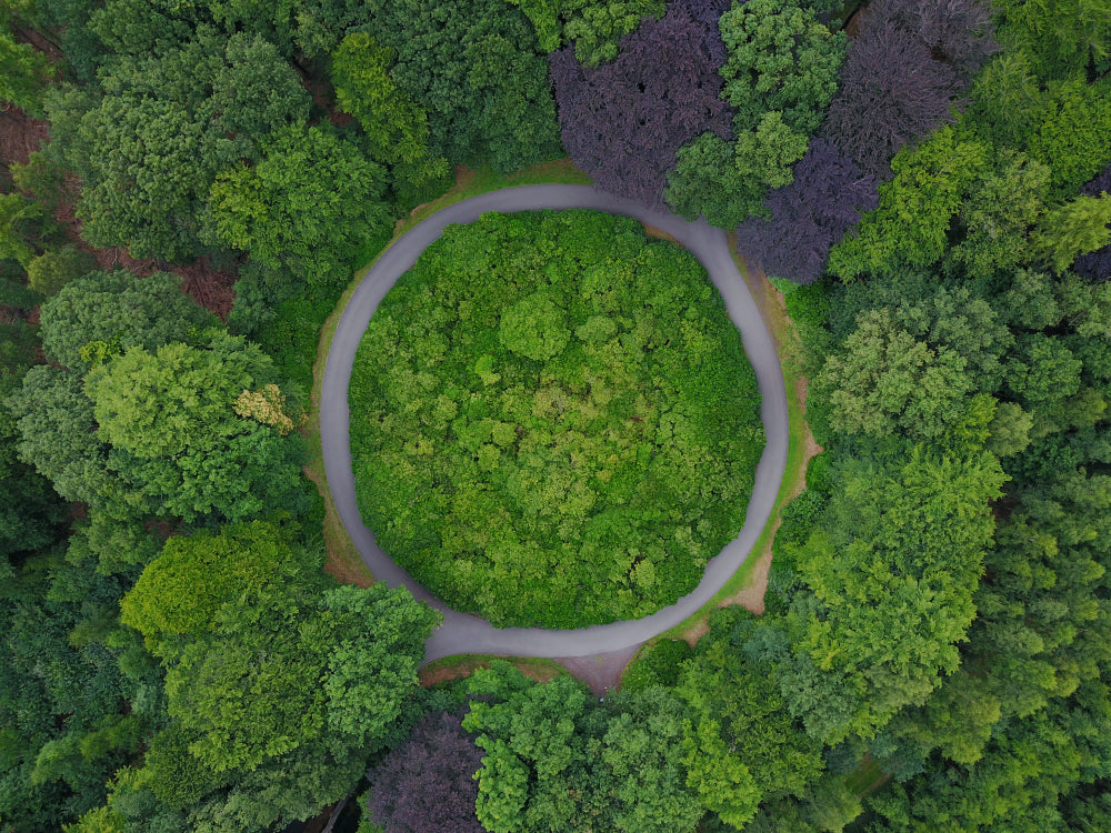 Local sourcing in the cannabis industry