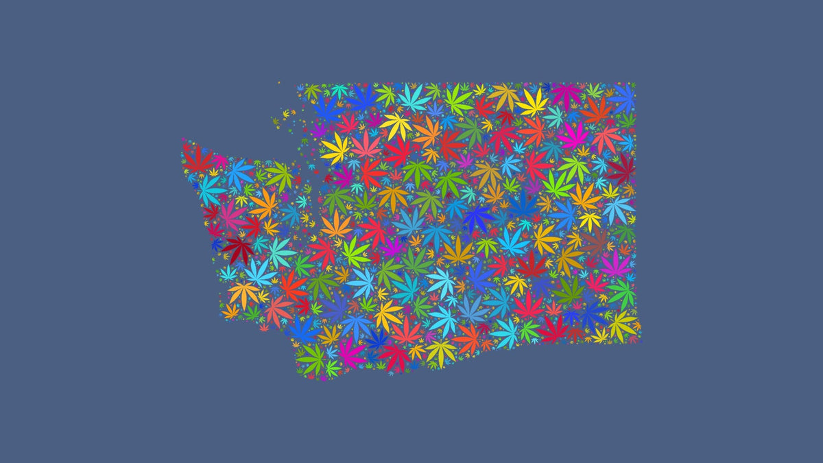 Washington silhouette made from multicolored cannabis leaves on a muted blue background.