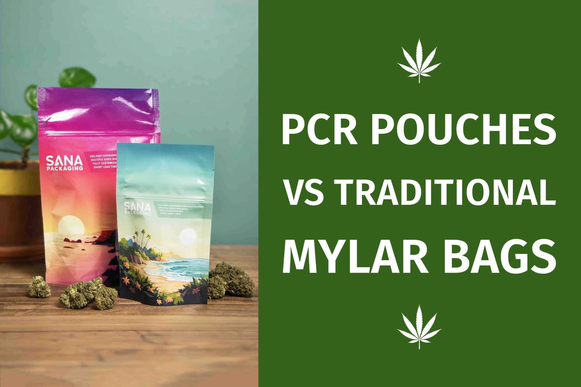 PCR Pouches vs Traditional Mylar Bags