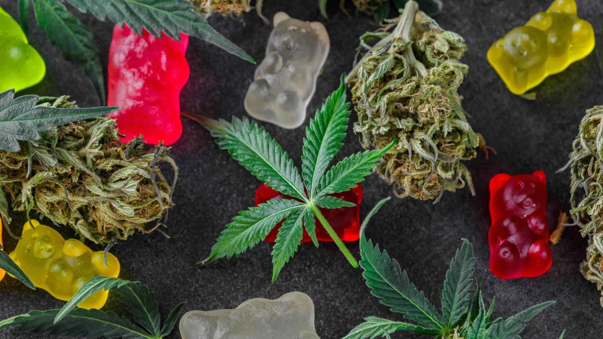 Cannabis flower, cannabis leaves, and colorful gummy edibles arranged on a dark surface.
