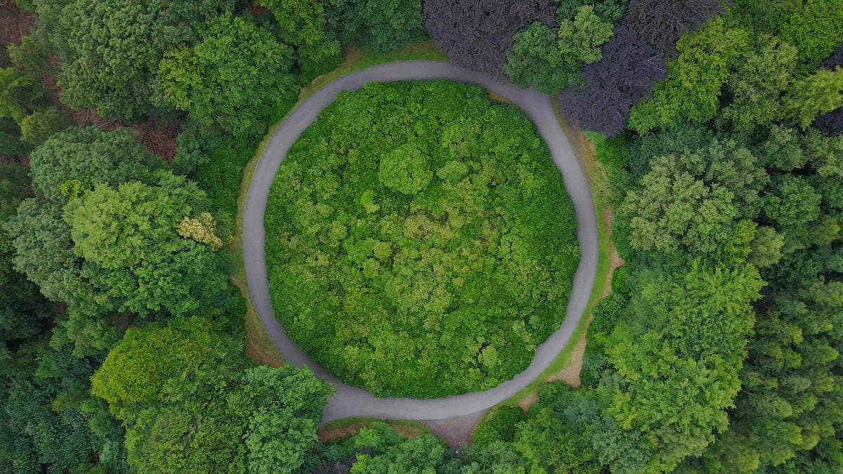 Aerial view of a circular path surrounded by dense green forest for an ESG and sustainable cannabis packaging guide.