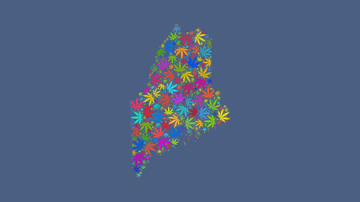 Maine silhouette made from multicolored cannabis leaves on a muted blue background.