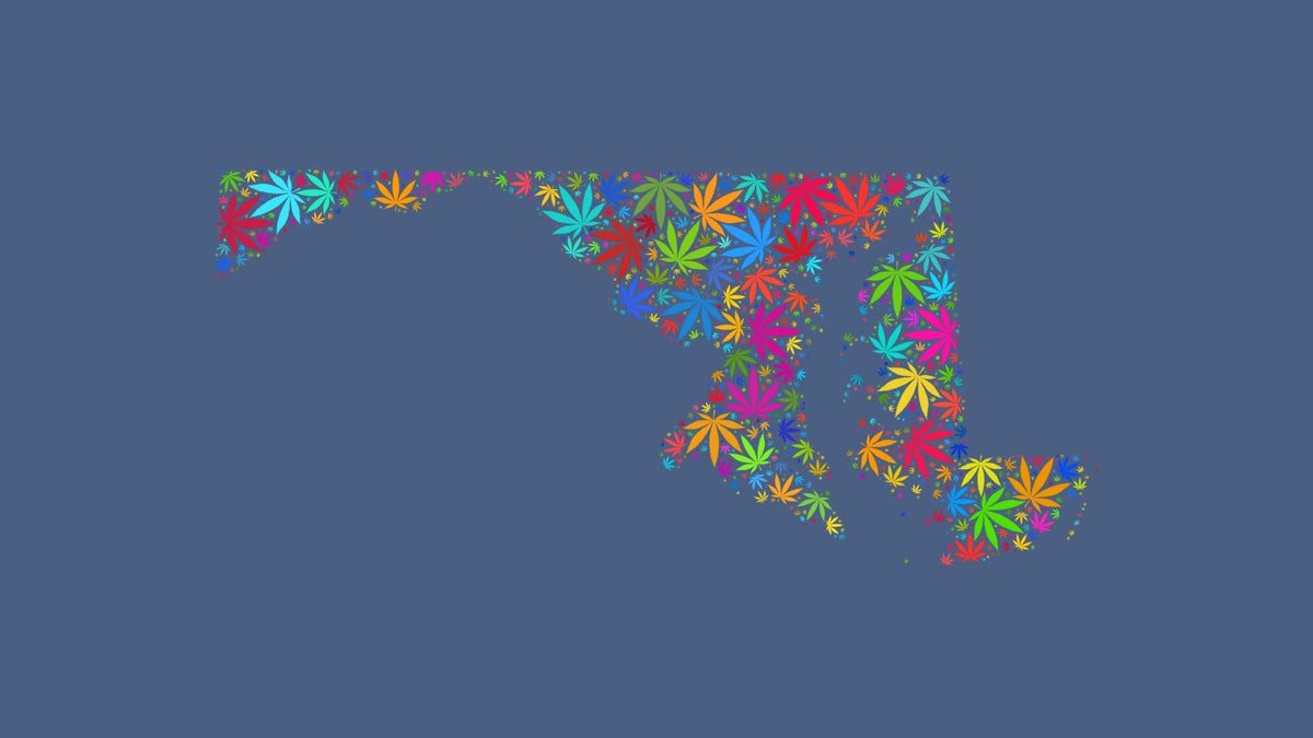 Maryland silhouette made from multicolored cannabis leaves on a muted blue background.