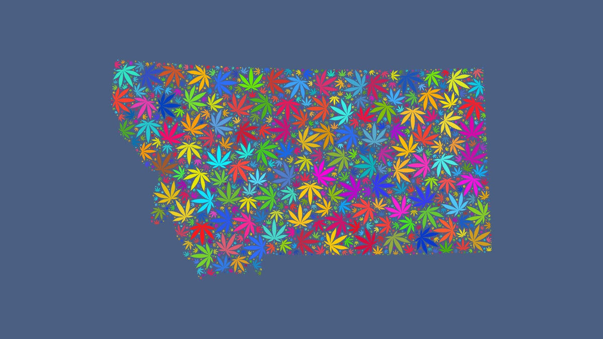 Montana silhouette made from multicolored cannabis leaves on a muted blue background.