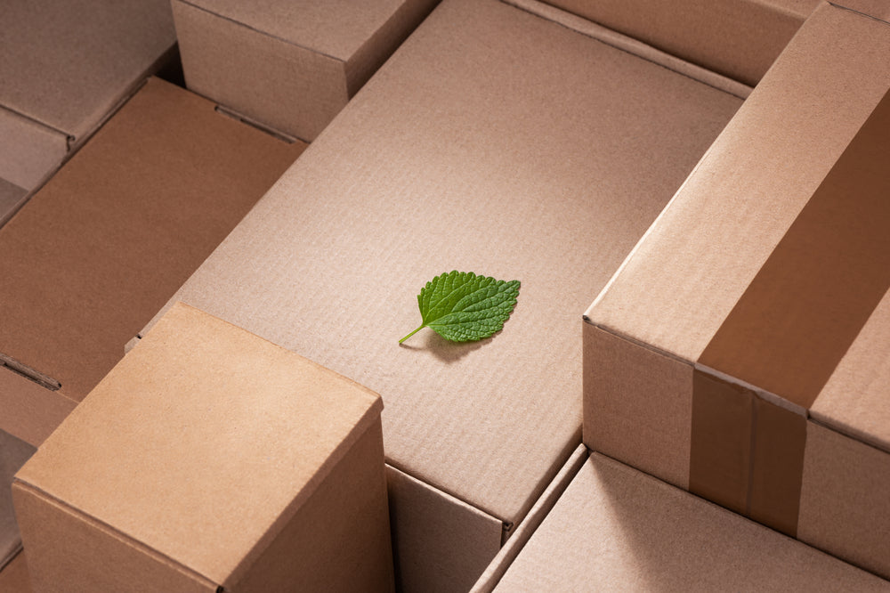 Sustainable vs Traditional Cannabis Packaging