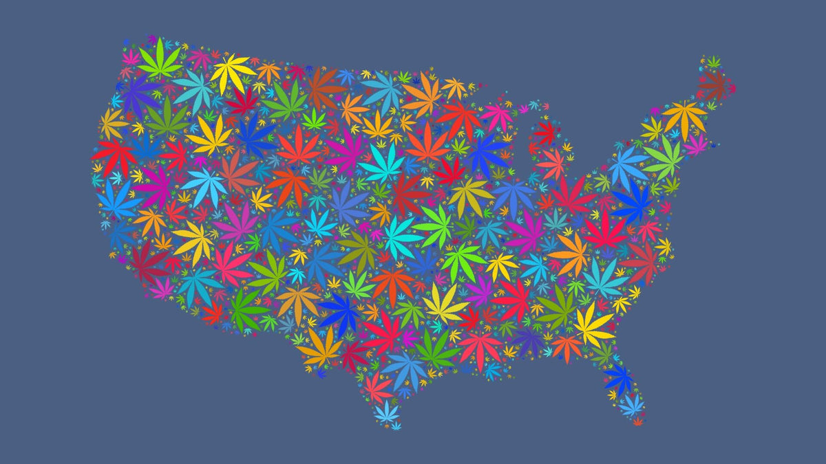 United States map made from multicolored cannabis leaves on a muted blue background.
