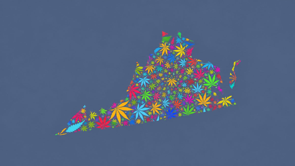 Virginia silhouette made from multicolored cannabis leaves on a muted blue background.