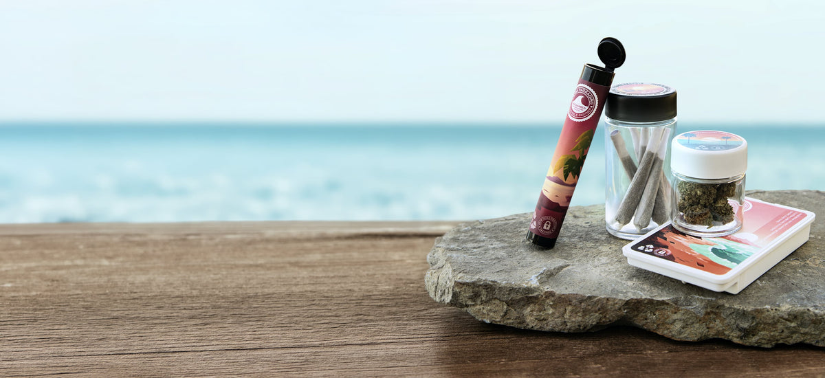 Sana Packaging pre-roll tube, jars and child-resistant tin on a rock by the sea