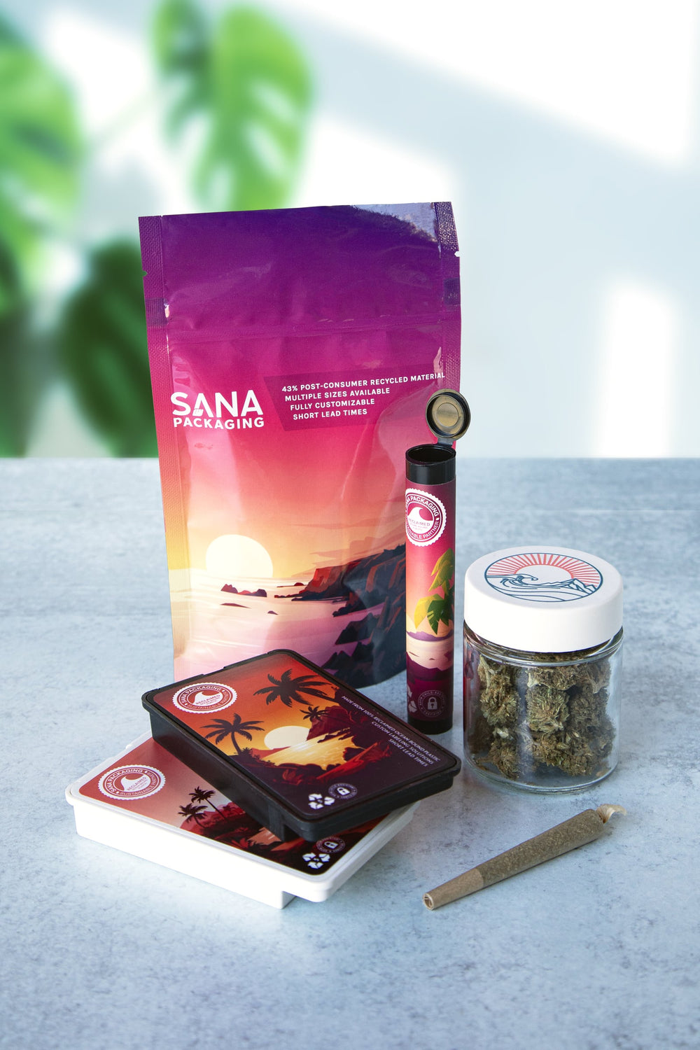 Sana Packaging pouch, pre-roll tube, glass jar and multipack trays on a stone surface